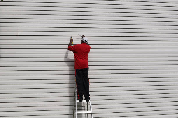 Best Steel Siding Installation  in Piketon, OH